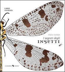 Segreto degli insetti