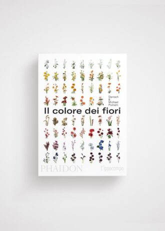 colore dei fiori