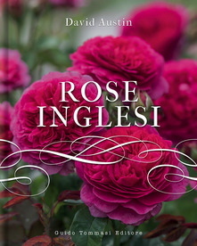 RoseInglesi