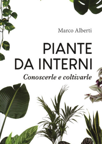 piante da interni